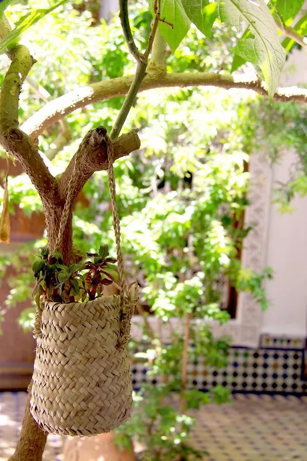 Riad Malida Marrakesh